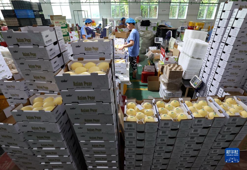 pt游戏闪电牛技巧